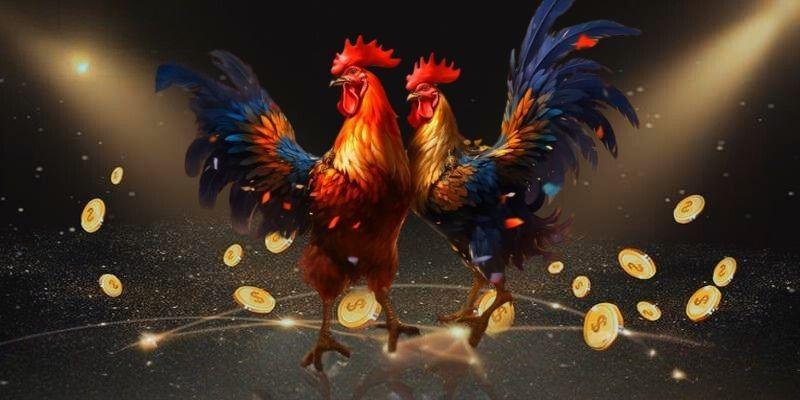 Các câu hỏi thường gặp về đá gà trực tuyến FC88